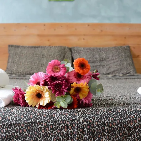 Corso 205 X Ap Lejlighed *